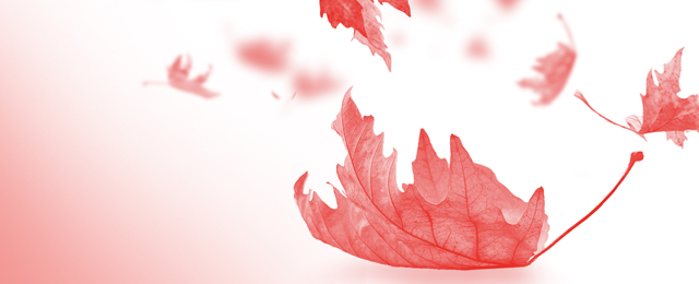 ICLE’s Fall Book Sale <strong>25% Off</strong>