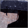Michigan Guardianship and Conservatorship Handbook, Revised Edition