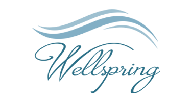 Wellspring Case Management